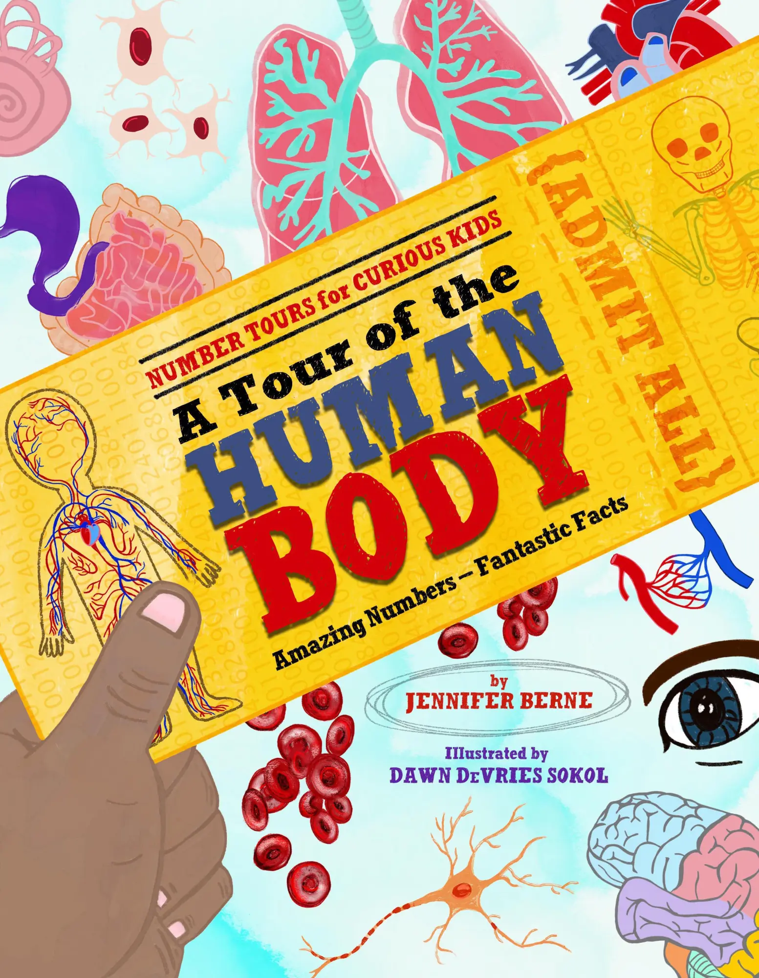 Cover: 9781662670152 | A Tour of the Human Body | Amazing Numbers--Fantastic Facts | Berne