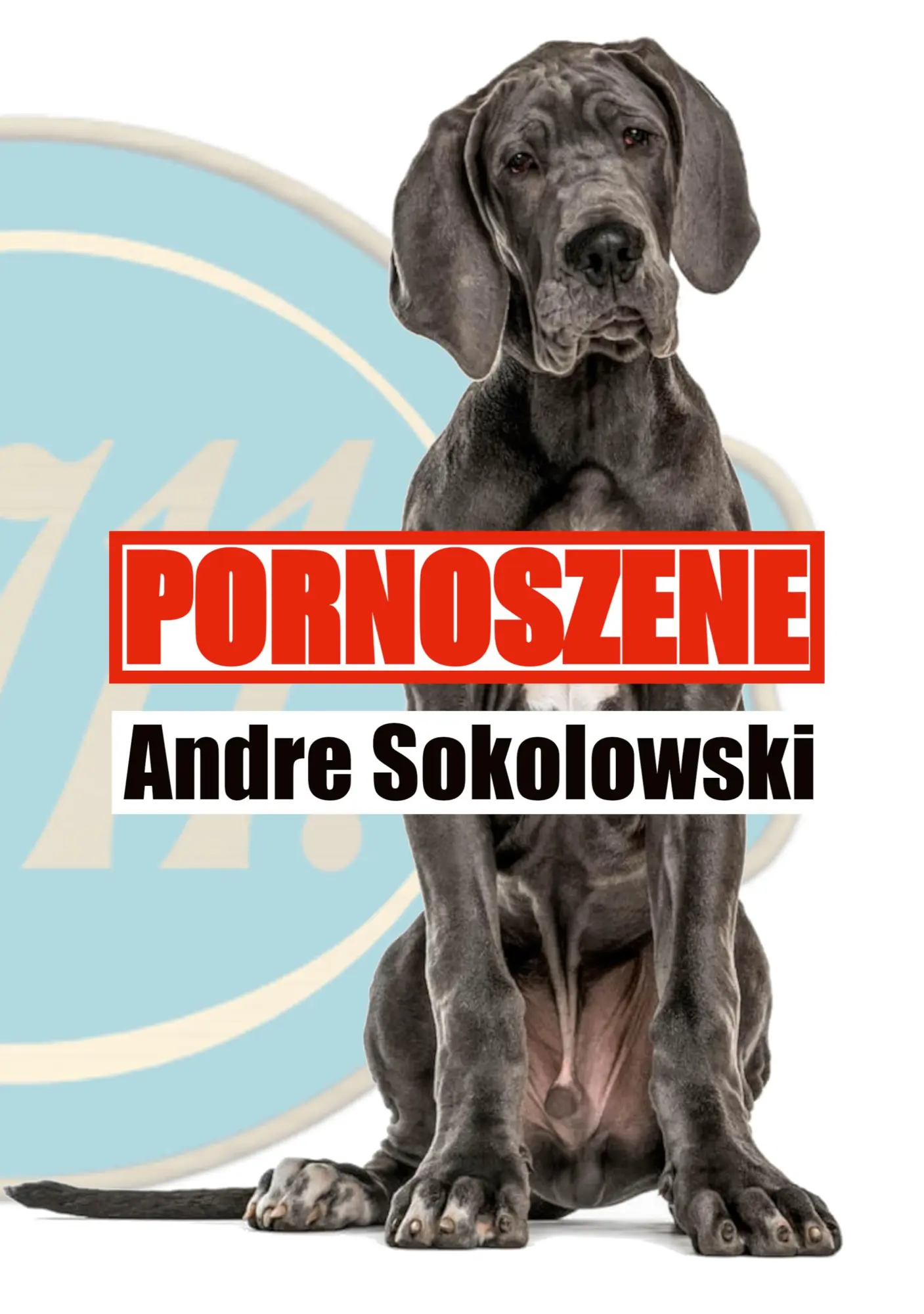 Cover: 9783695760152 | Pornoszene | Andre Sokolowski | Taschenbuch | 36 S. | Deutsch | 2026