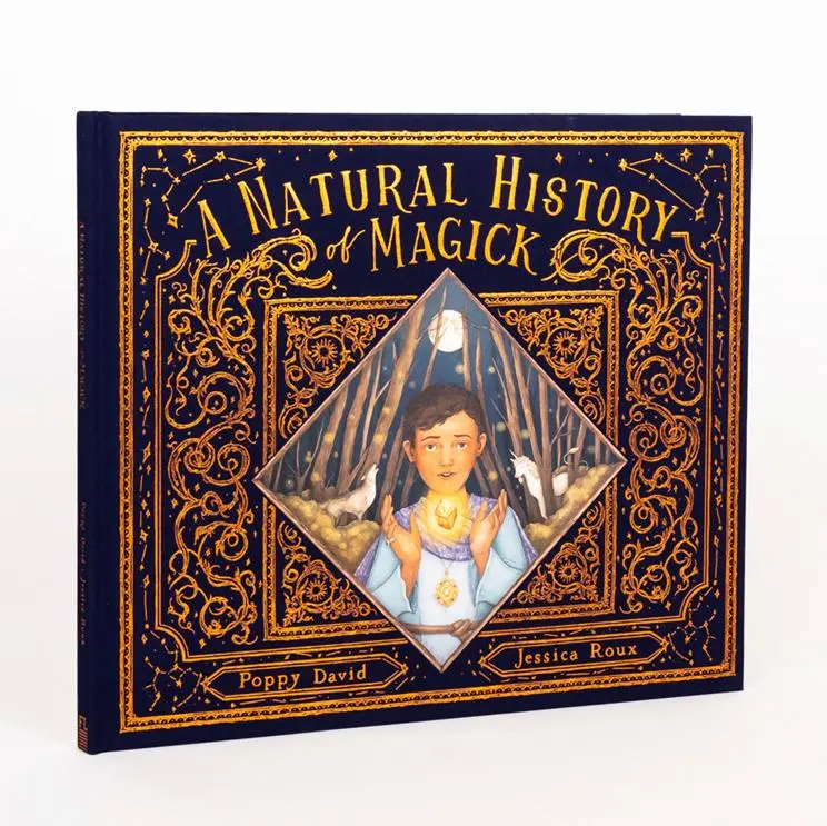 Cover: 9780711260252 | A Natural History of Magick | Poppy David | Buch | Gebunden | Englisch