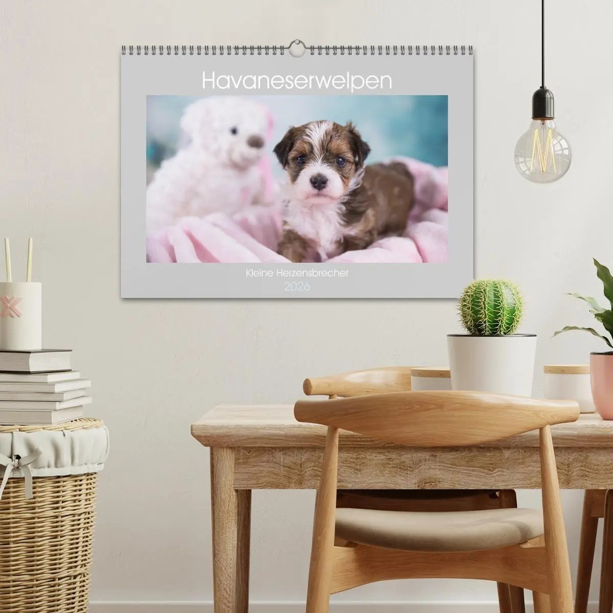 Bild: 9783457840252 | Havaneserwelpen - Kleine Herzensbrecher (Wandkalender 2026 DIN A3...