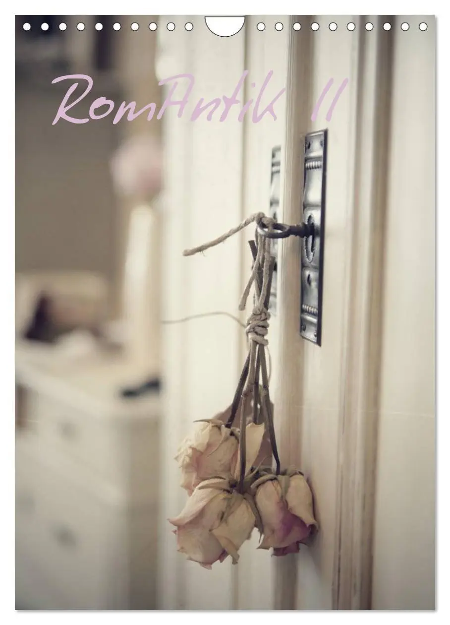 Cover: 9783516480252 | RomAntik (Wandkalender 2026 DIN A4 hoch), CALVENDO Monatskalender