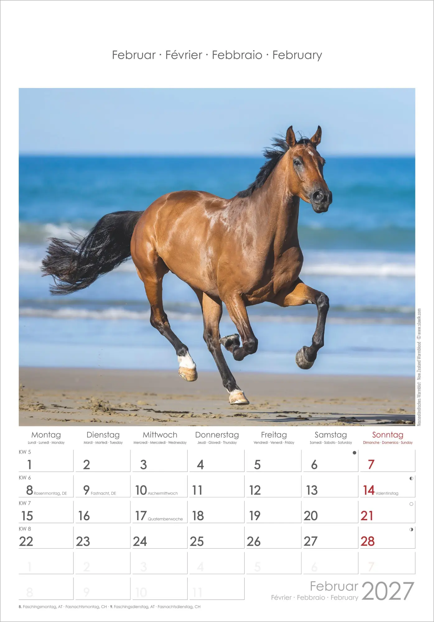 Bild: 4069095010352 | Pferde 2027 | Neumann Verlage GmbH &amp; Co KG | Kalender | Spiralbindung