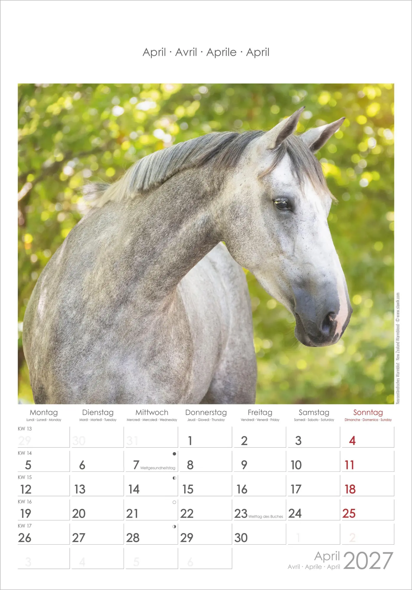 Bild: 4069095010352 | Pferde 2027 | Neumann Verlage GmbH &amp; Co KG | Kalender | Spiralbindung