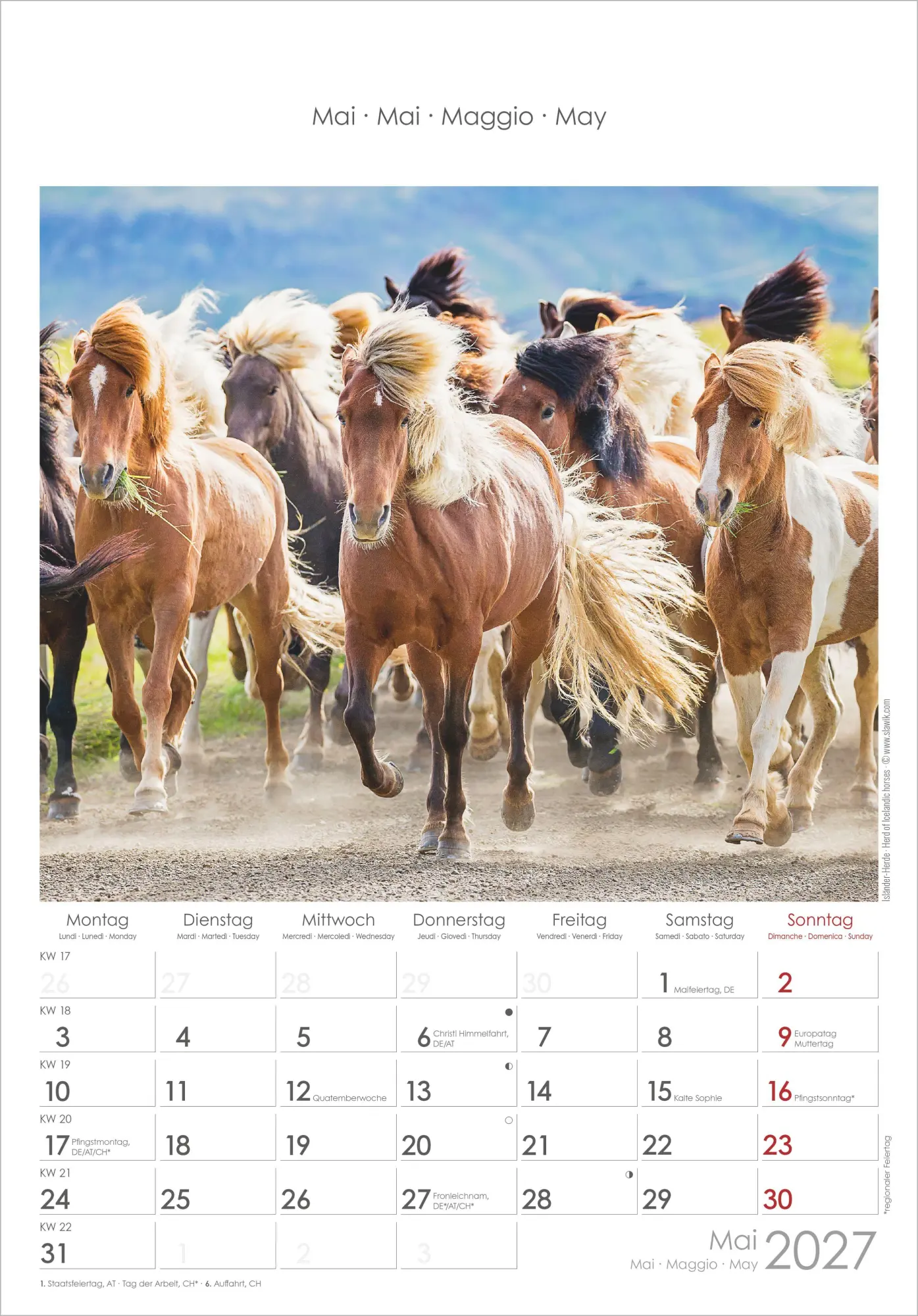 Bild: 4069095010352 | Pferde 2027 | Neumann Verlage GmbH &amp; Co KG | Kalender | Spiralbindung
