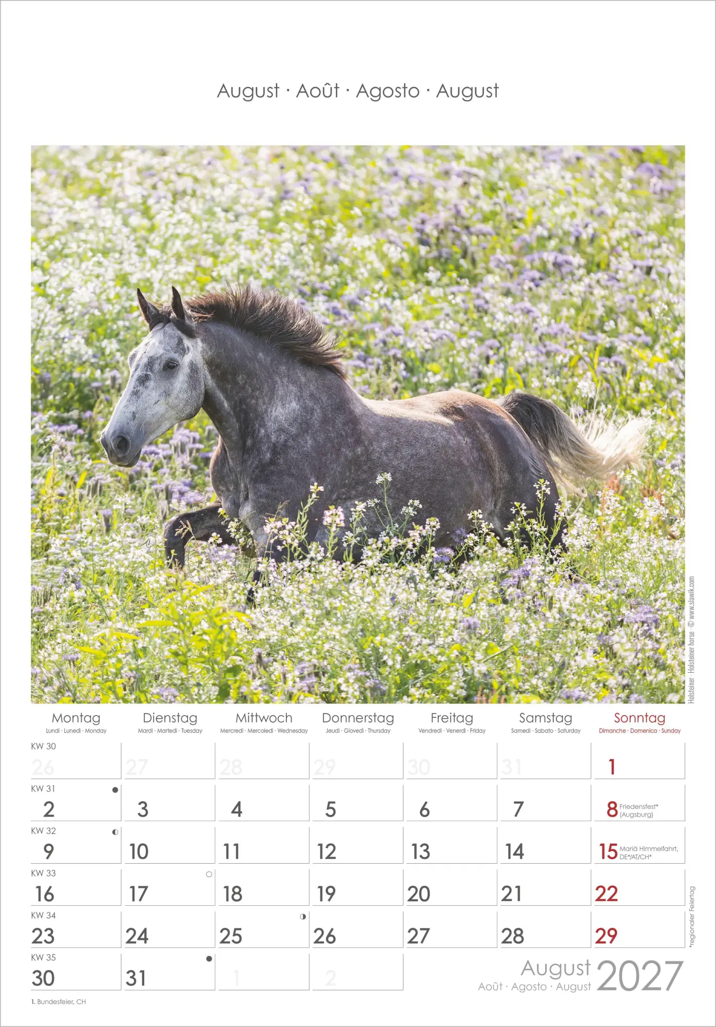 Bild: 4069095010352 | Pferde 2027 | Neumann Verlage GmbH &amp; Co KG | Kalender | Spiralbindung