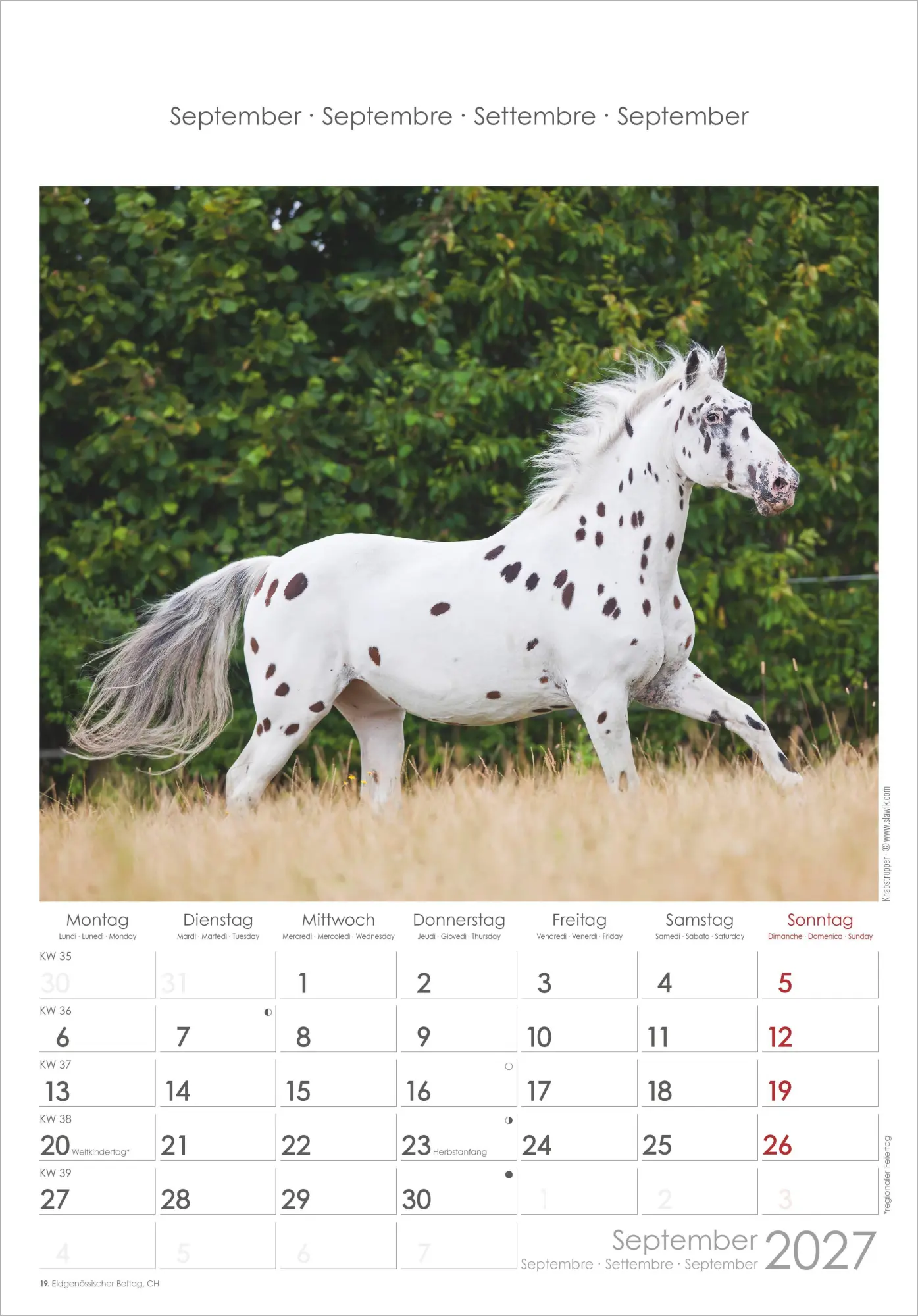 Bild: 4069095010352 | Pferde 2027 | Neumann Verlage GmbH &amp; Co KG | Kalender | Spiralbindung