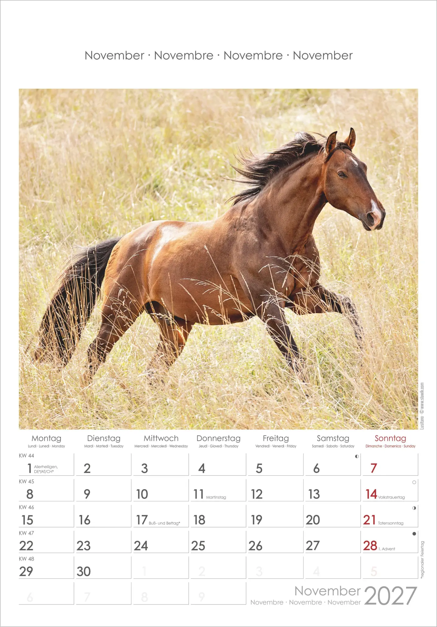 Bild: 4069095010352 | Pferde 2027 | Neumann Verlage GmbH &amp; Co KG | Kalender | Spiralbindung