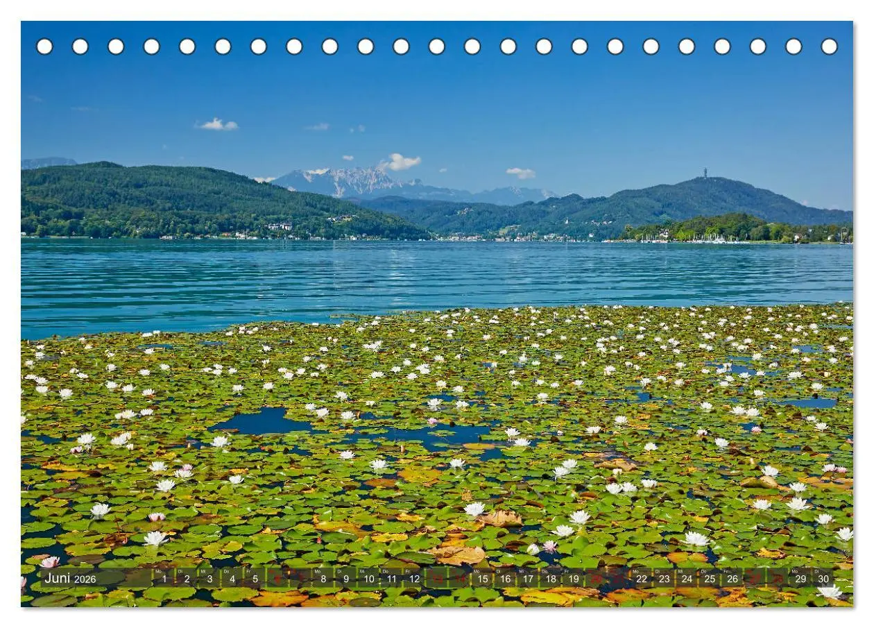 Bild: 9783457830352 | Der Wörthersee - Österreichs Riviera (Tischkalender 2026 DIN A5...