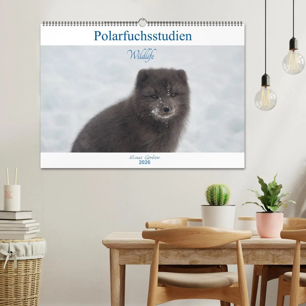 Bild: 9783457900352 | Polarfuchsstudien Wildlife (Wandkalender 2026 DIN A2 quer),...