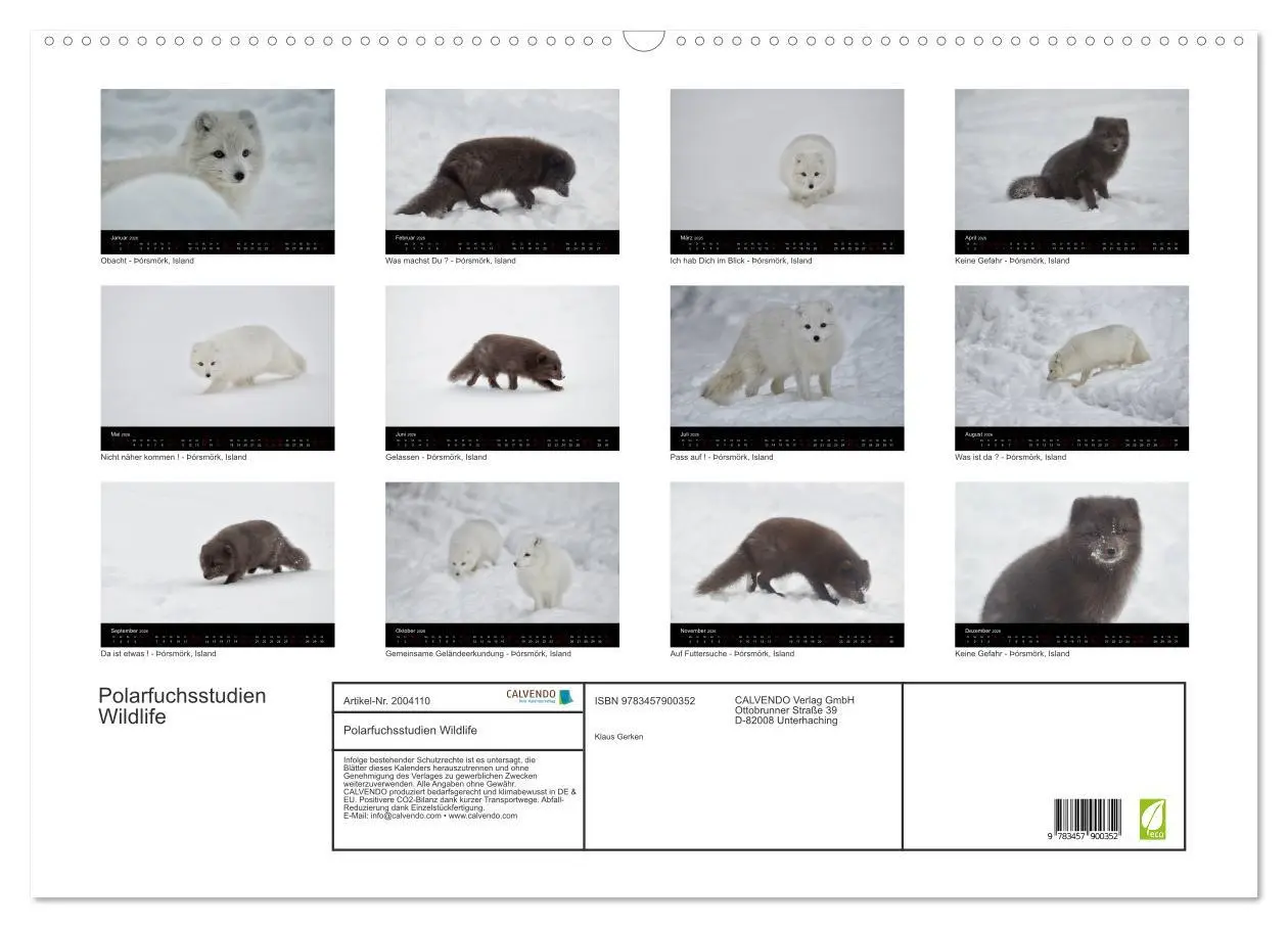Bild: 9783457900352 | Polarfuchsstudien Wildlife (Wandkalender 2026 DIN A2 quer),...