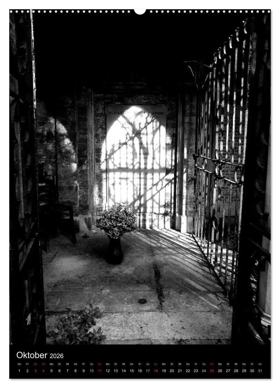 Bild: 9783516460452 | Venice Noir - Das etwas andere Venedig (hochwertiger Premium...