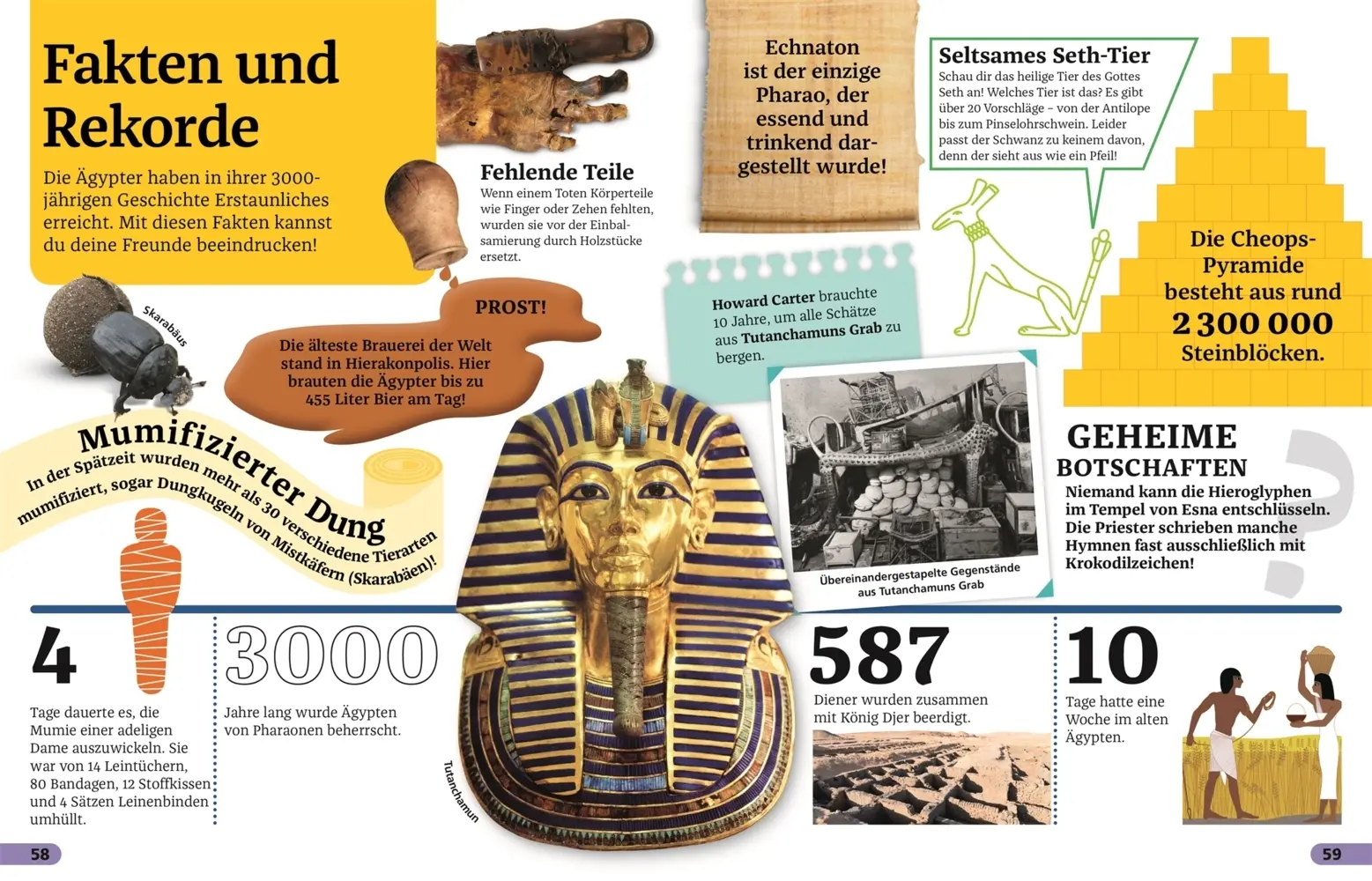 Bild: 9783831040452 | Superchecker! Das alte Ägypten | Angela McDonald | Taschenbuch | 64 S.