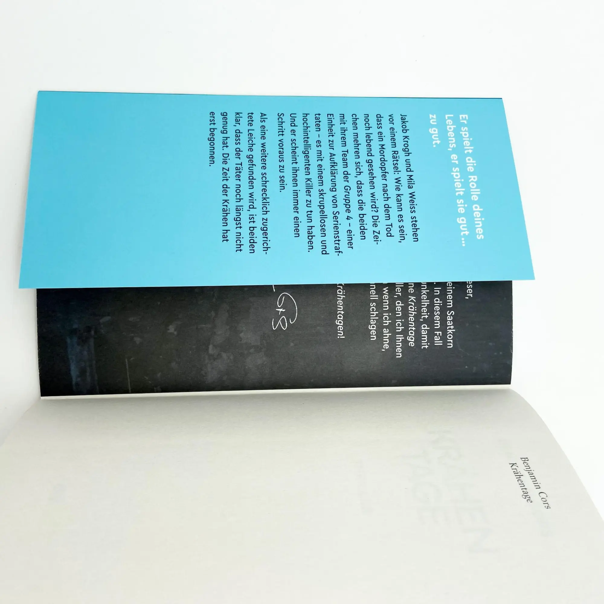 Bild: 9783423220552 | Krähentage | Benjamin Cors | Taschenbuch | Gruppe 4 ermittelt | 400 S.