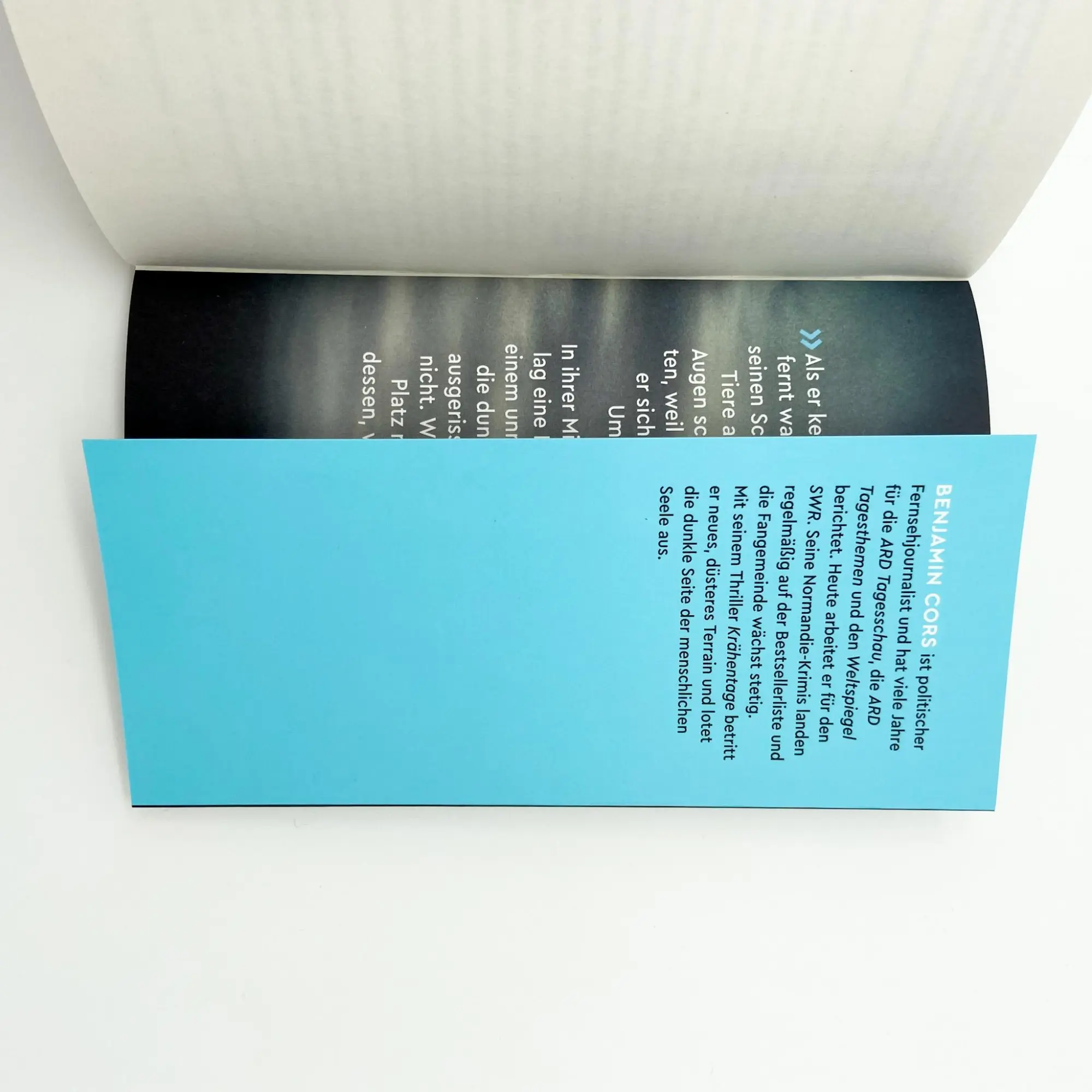 Bild: 9783423220552 | Krähentage | Benjamin Cors | Taschenbuch | Gruppe 4 ermittelt | 400 S.
