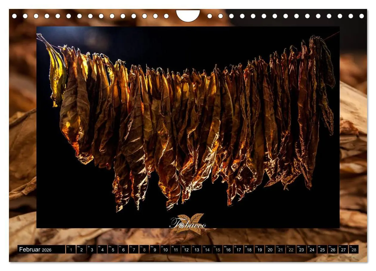 Bild: 9783457980552 | Tobacco - Genuss und Flair der Tabakkultur (Wandkalender 2026 DIN...