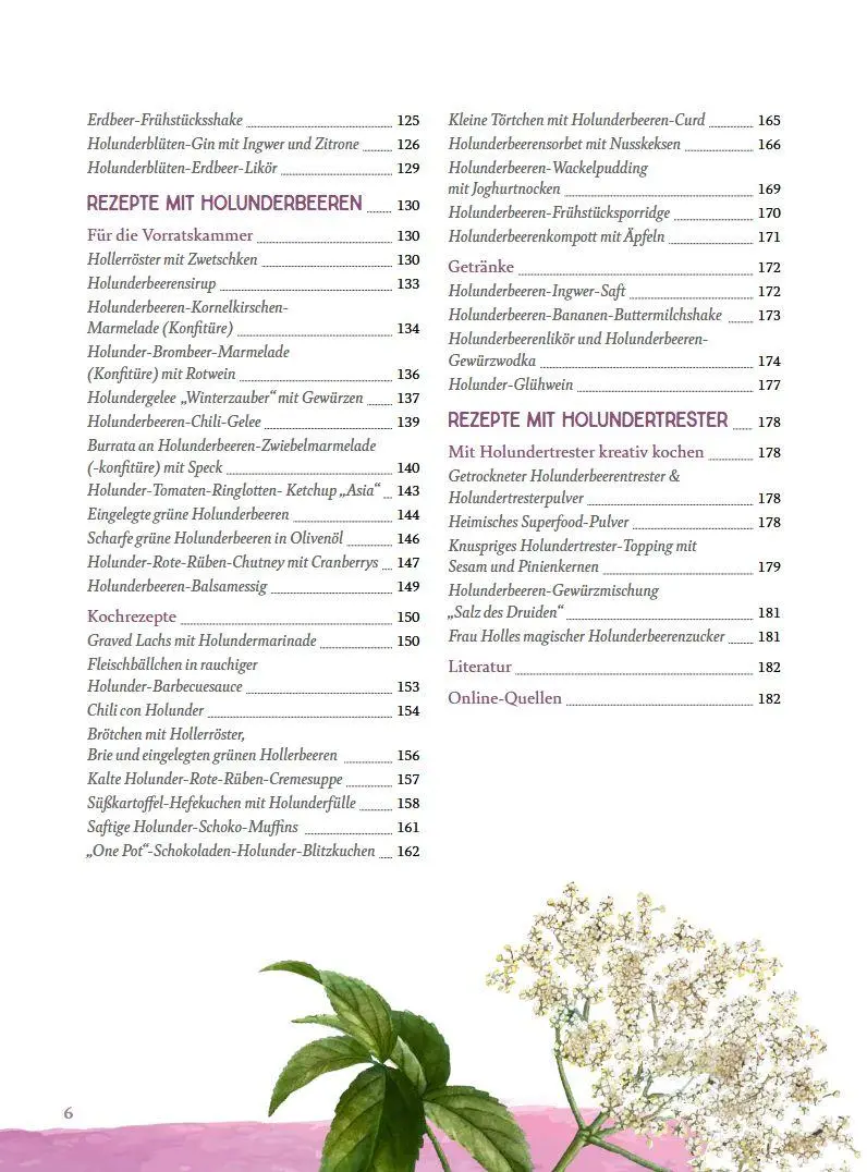 Bild: 9783702020552 | Mit Holunder durchs Jahr | Blüten, Beeren, Blätter &amp; Rinde | Sidak