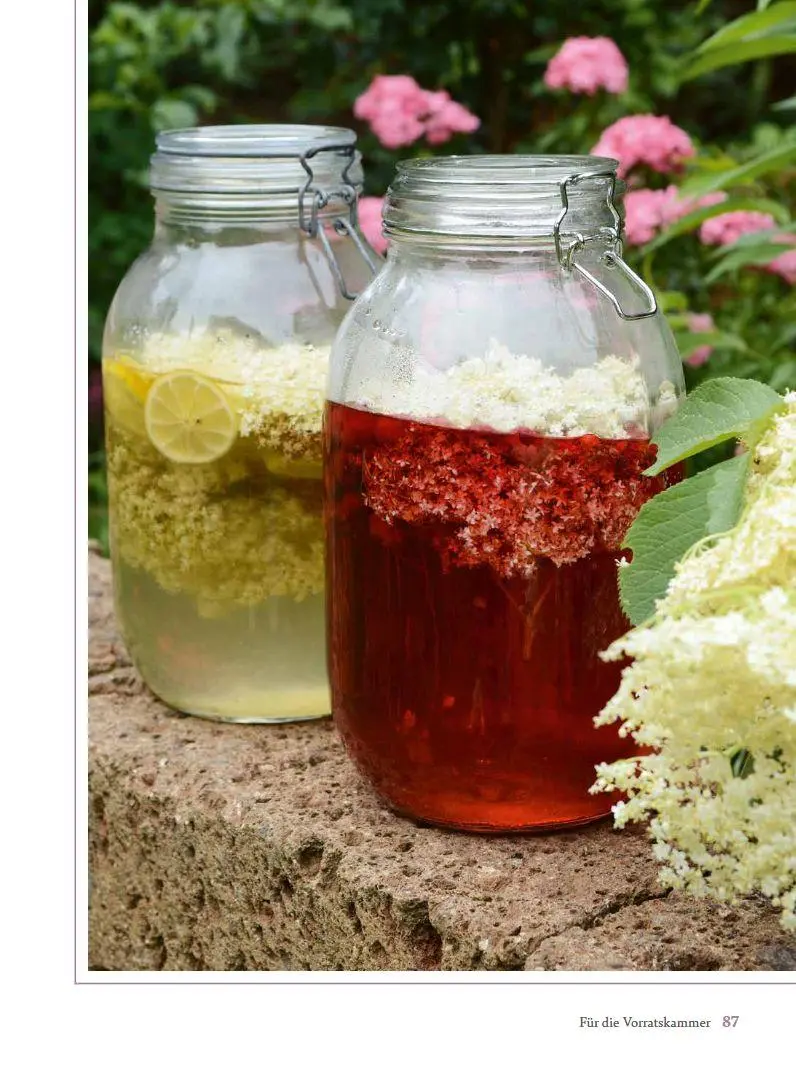Bild: 9783702020552 | Mit Holunder durchs Jahr | Blüten, Beeren, Blätter &amp; Rinde | Sidak