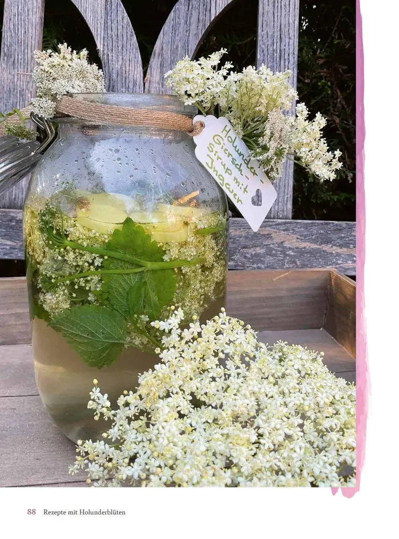 Bild: 9783702020552 | Mit Holunder durchs Jahr | Blüten, Beeren, Blätter &amp; Rinde | Sidak