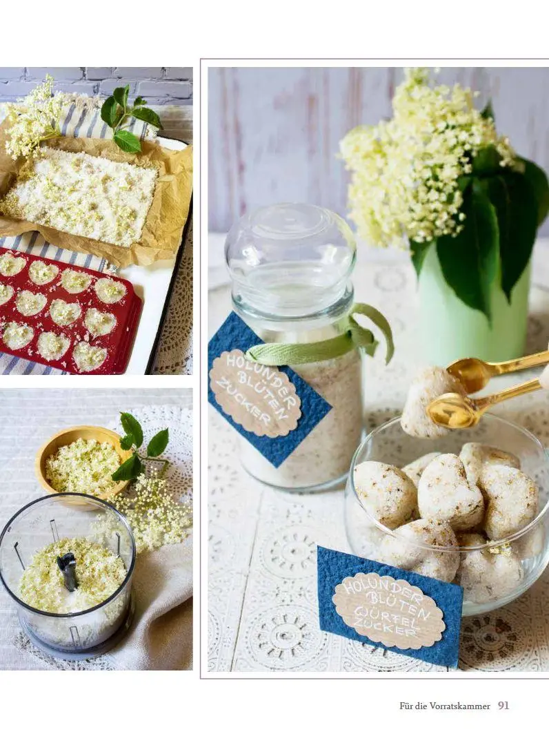 Bild: 9783702020552 | Mit Holunder durchs Jahr | Blüten, Beeren, Blätter &amp; Rinde | Sidak