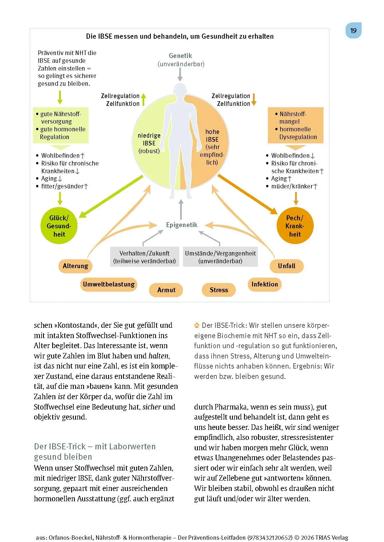 Bild: 9783432120652 | Nährstoff- &amp; Hormontherapie - Der Präventions-Leitfaden | Buch | 2025