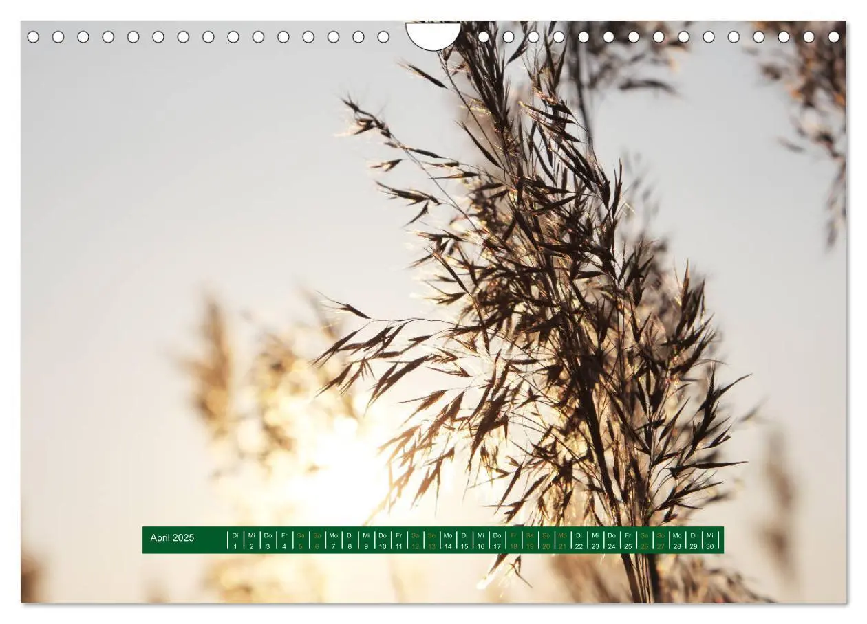 Bild: 9783435240852 | Unterwegs im Deister (Wandkalender 2025 DIN A4 quer), CALVENDO...