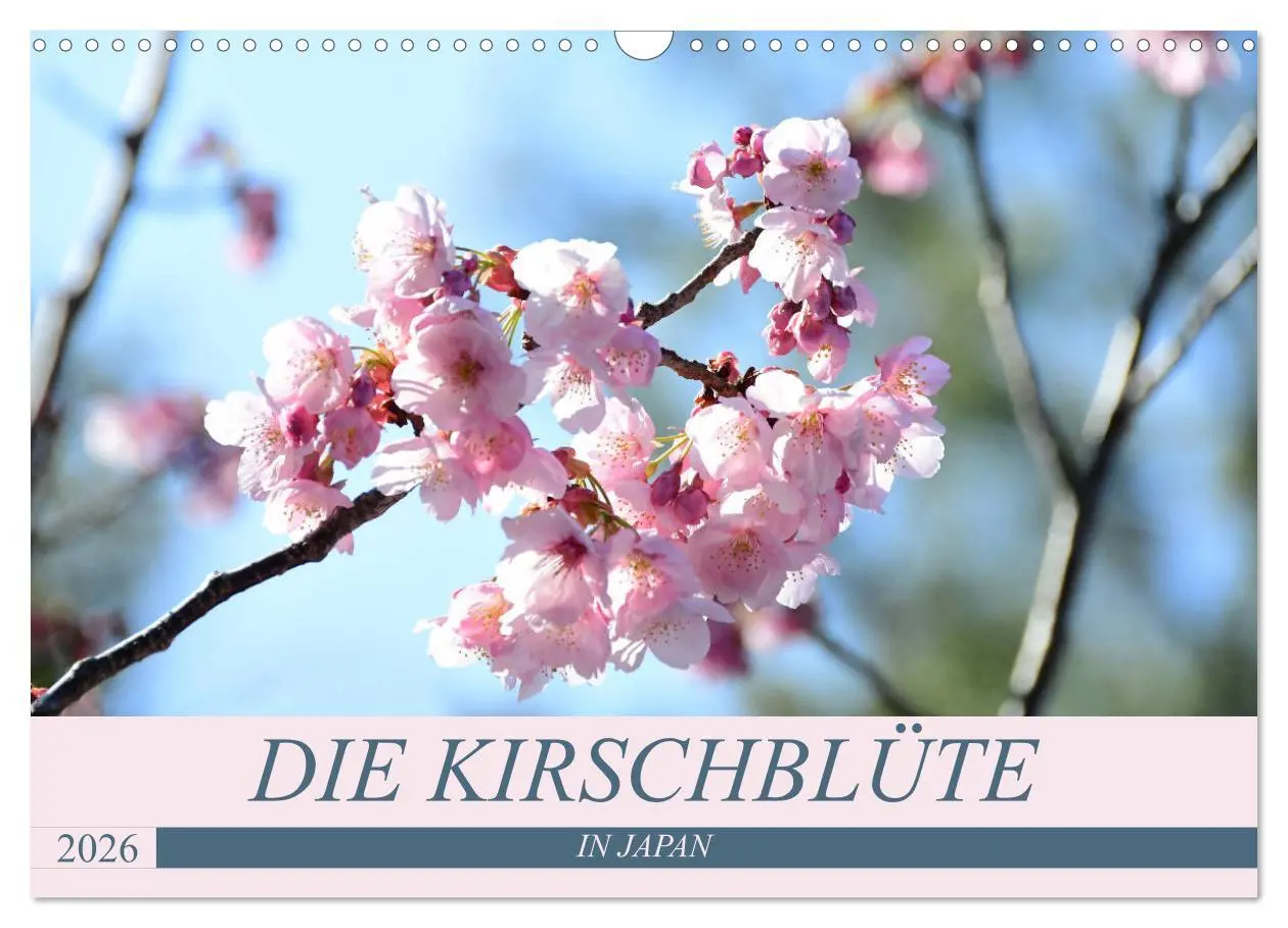 Cover: 9783457710852 | Die Kirschblüte in Japan (Wandkalender 2026 DIN A3 quer), CALVENDO...