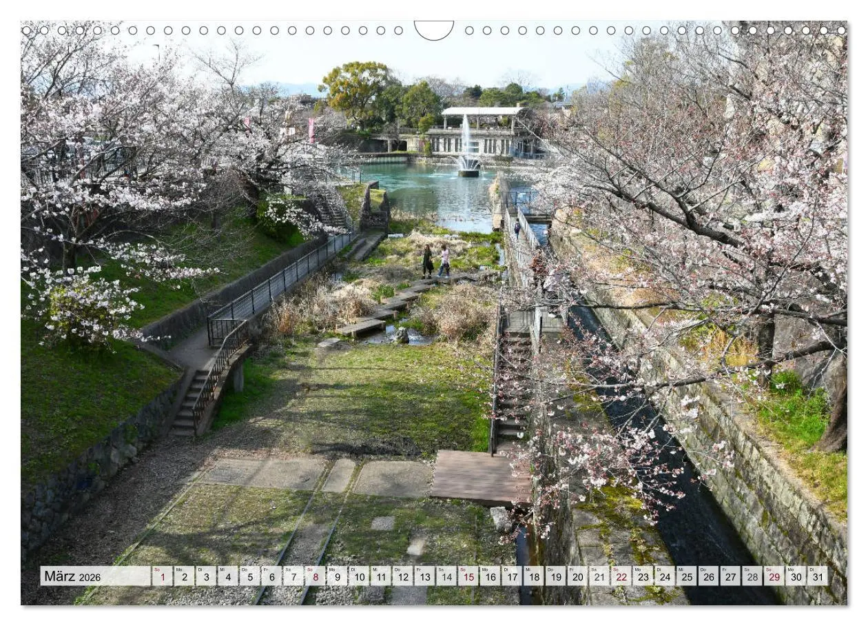 Bild: 9783457710852 | Die Kirschblüte in Japan (Wandkalender 2026 DIN A3 quer), CALVENDO...