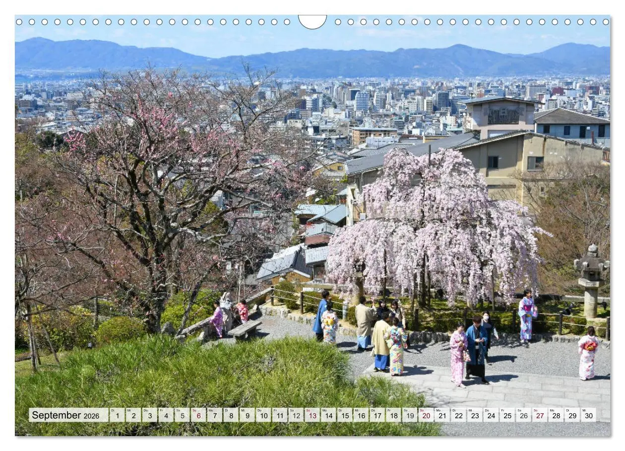 Bild: 9783457710852 | Die Kirschblüte in Japan (Wandkalender 2026 DIN A3 quer), CALVENDO...