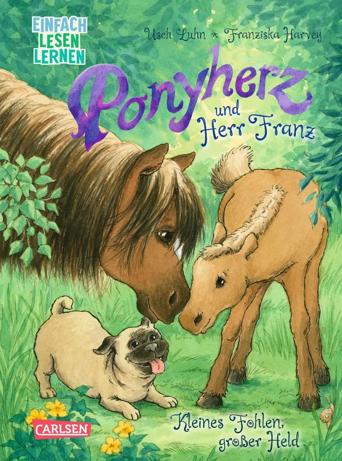 Cover: 9783551690852 | Ponyherz und Herr Franz: Kleines Fohlen, großer Held | Usch Luhn