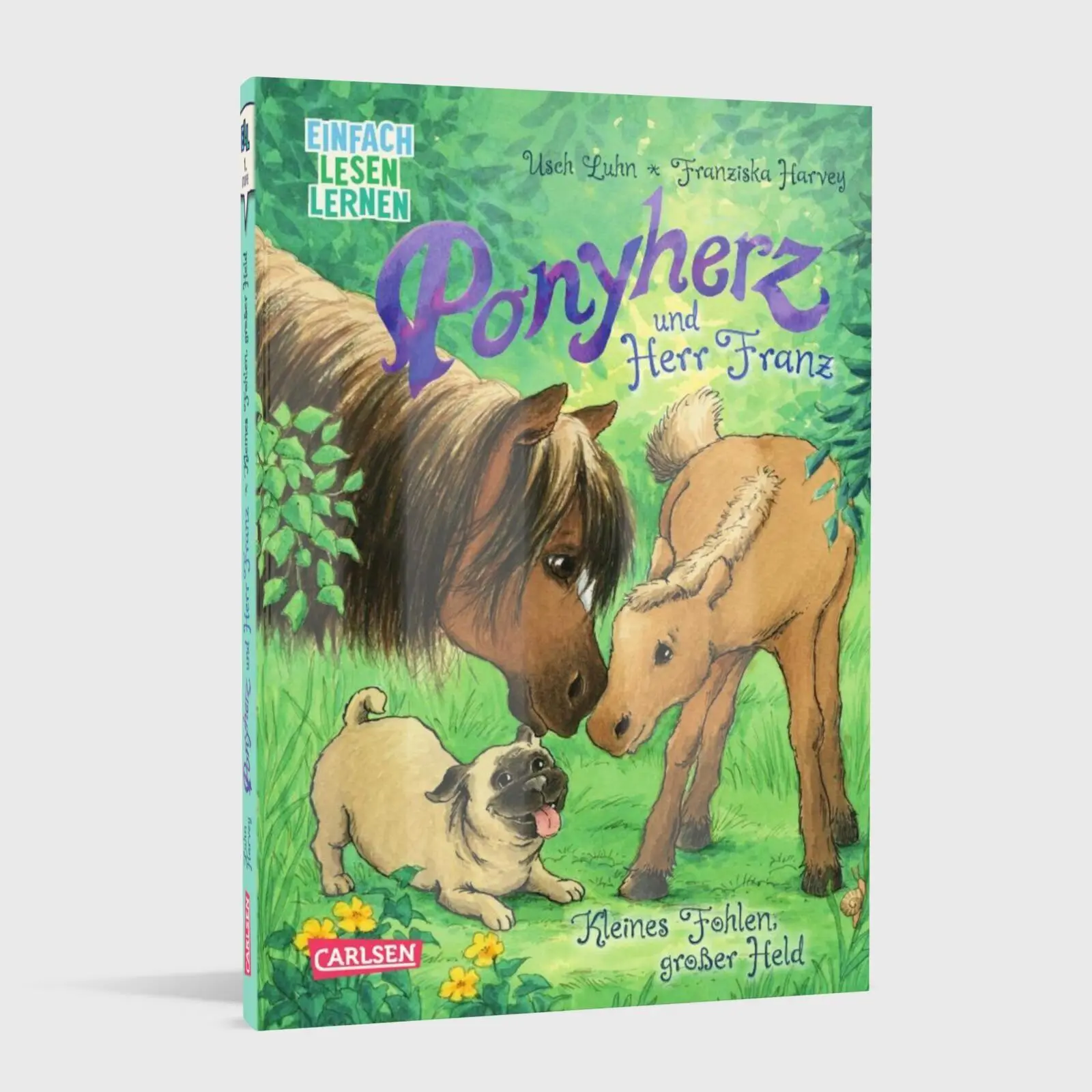 Bild: 9783551690852 | Ponyherz und Herr Franz: Kleines Fohlen, großer Held | Usch Luhn