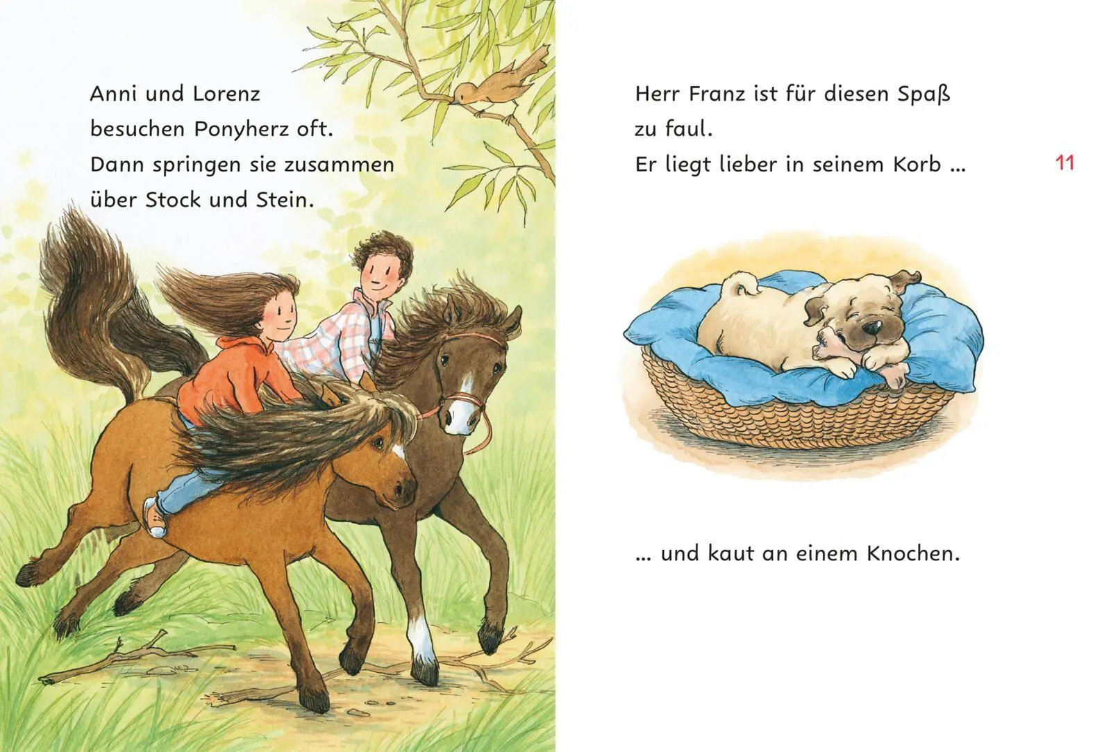 Bild: 9783551690852 | Ponyherz und Herr Franz: Kleines Fohlen, großer Held | Usch Luhn