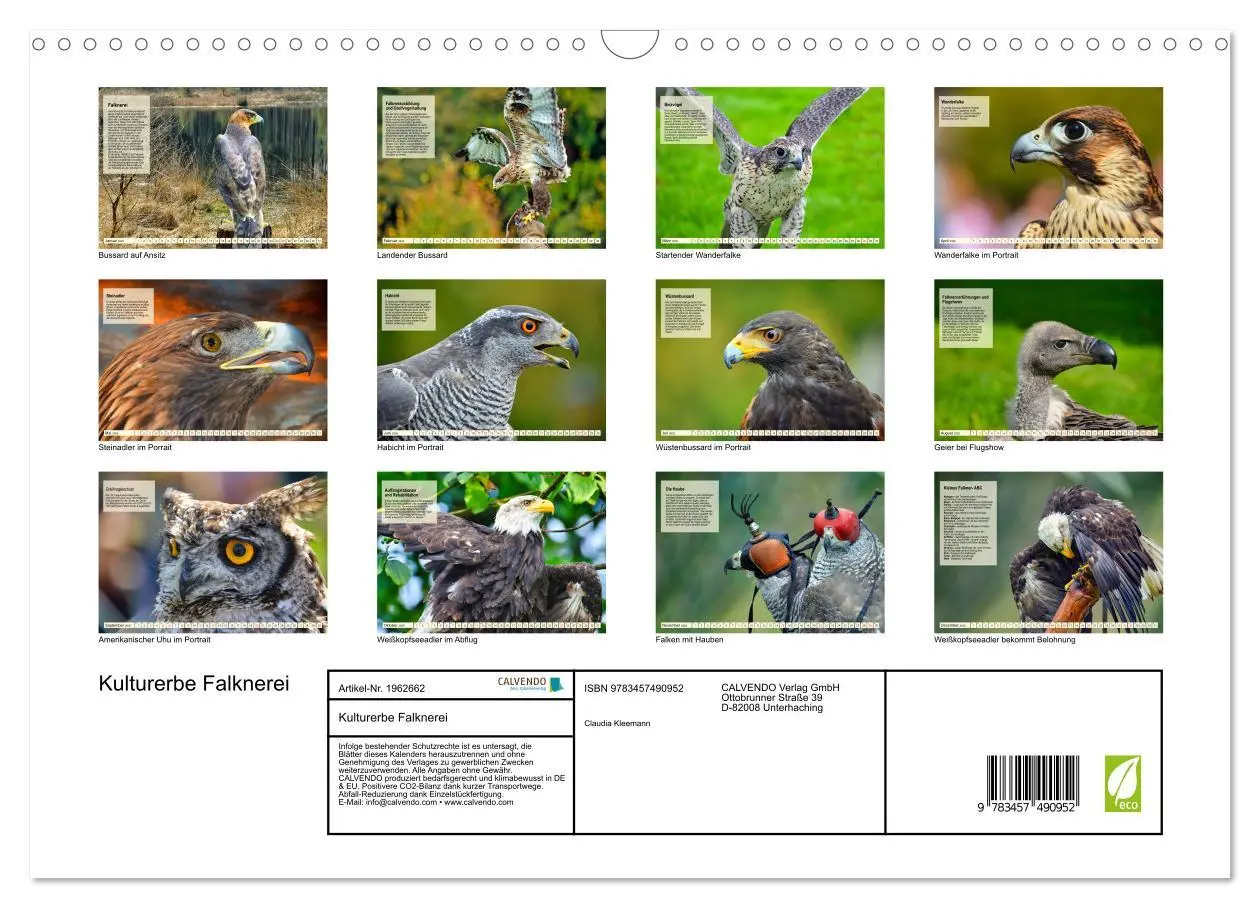 Bild: 9783457490952 | Kulturerbe Falknerei (Wandkalender 2026 DIN A3 quer), CALVENDO...