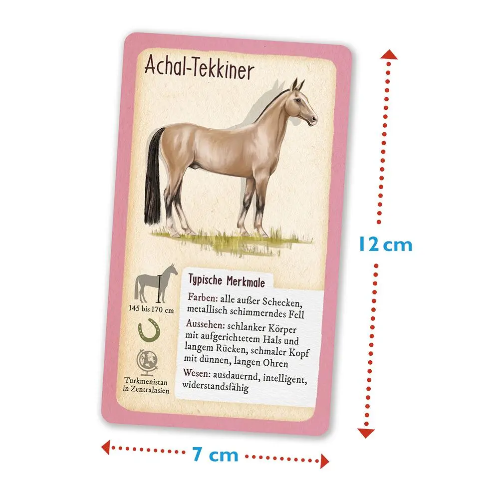 Bild: 4260671131052 | Tour durch die Natur - 50 Pferde und Ponys | Tour durch die Natur