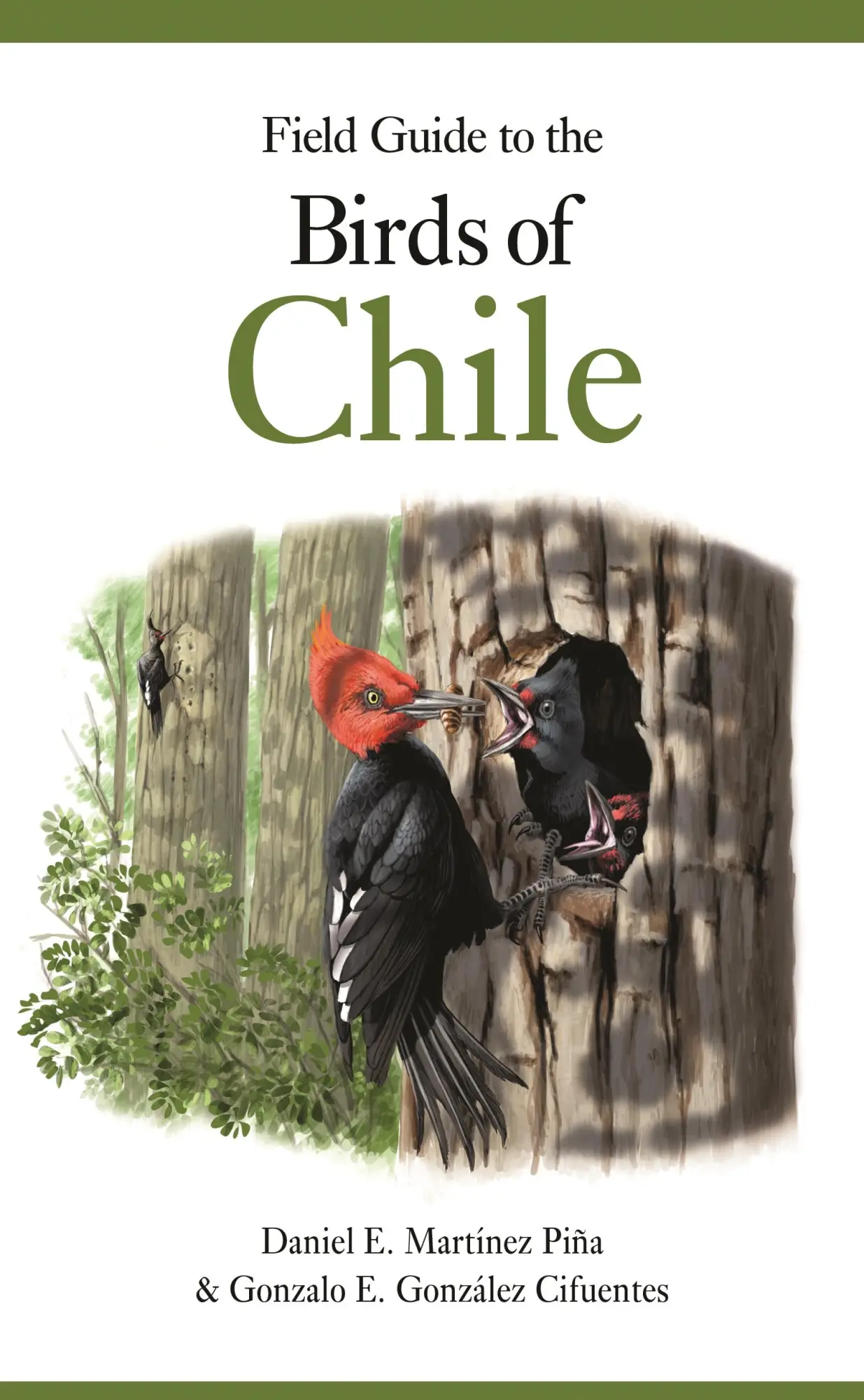 Cover: 9780691221052 | Field Guide to the Birds of Chile | Gonzalo E González Cifuentes