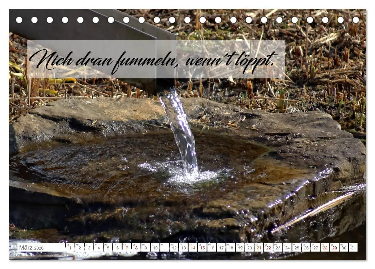Bild: 9783457831052 | Plattdüütsche Sprökje 2026 (Tischkalender 2026 DIN A5 quer),...