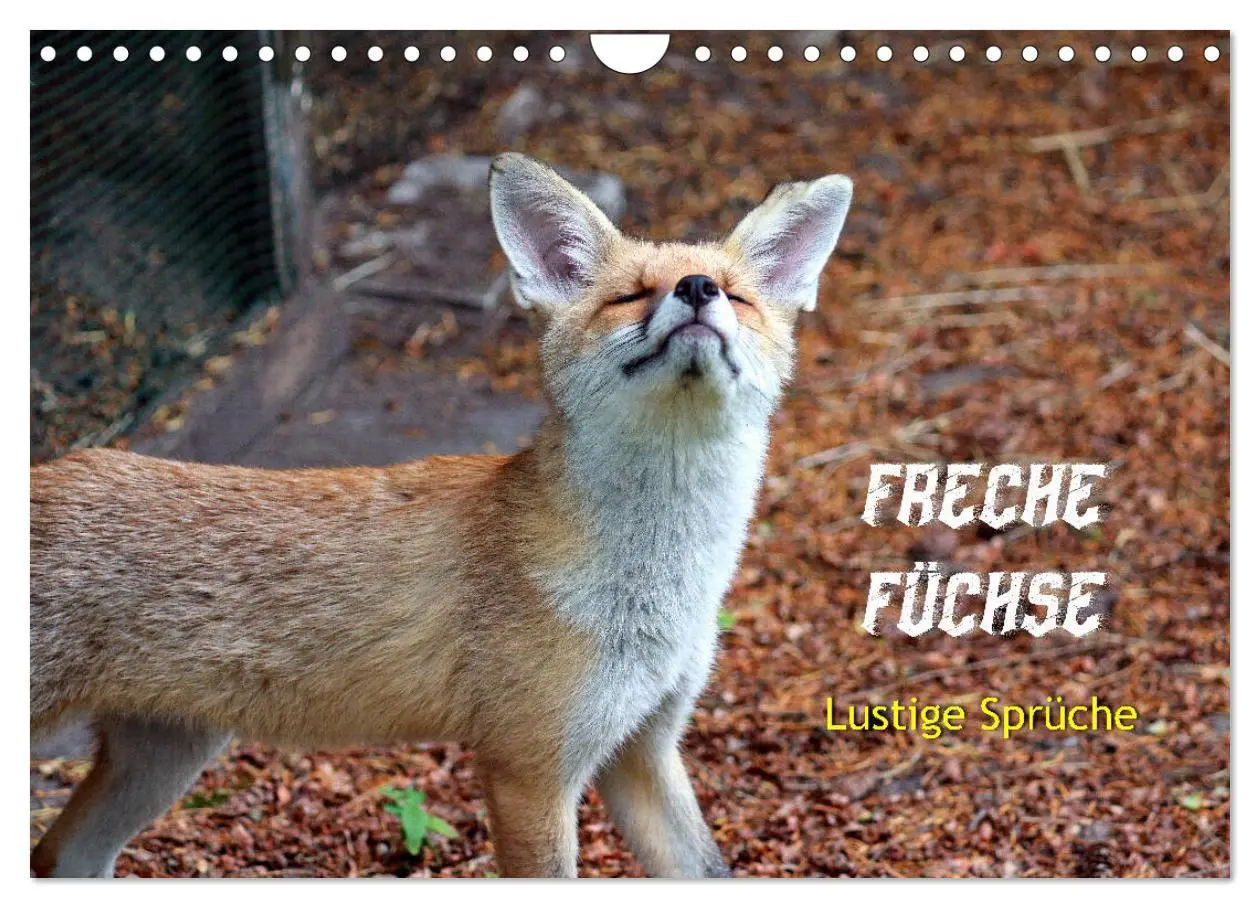 Cover: 9783457681152 | Freche Füchse - lustige Sprüche (Wandkalender 2026 DIN A4 quer),...