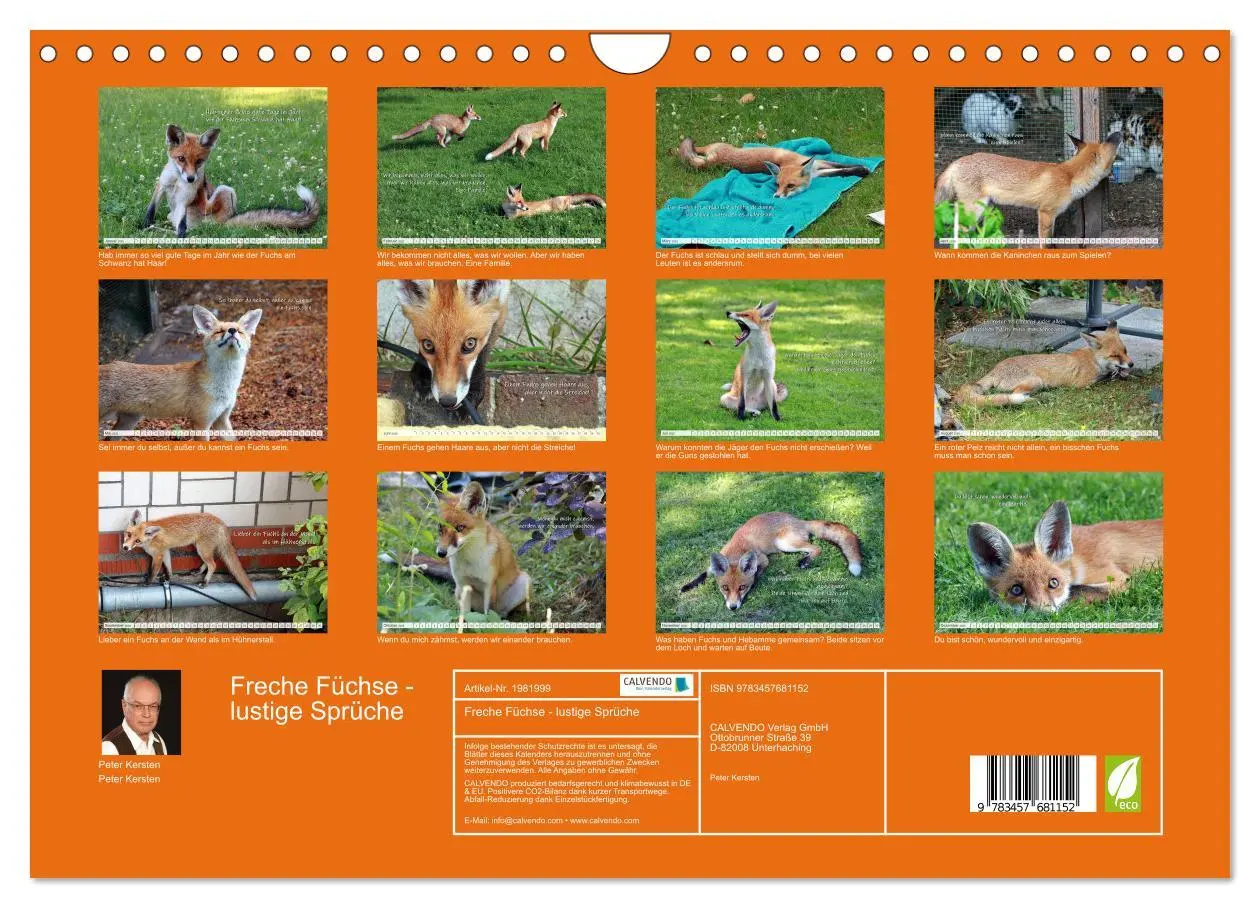 Bild: 9783457681152 | Freche Füchse - lustige Sprüche (Wandkalender 2026 DIN A4 quer),...