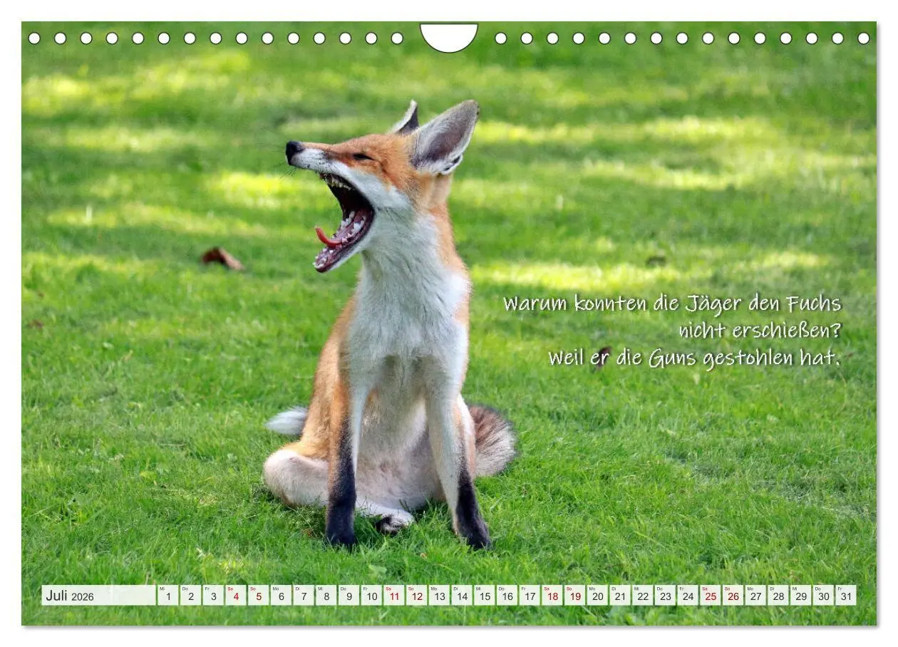 Bild: 9783457681152 | Freche Füchse - lustige Sprüche (Wandkalender 2026 DIN A4 quer),...