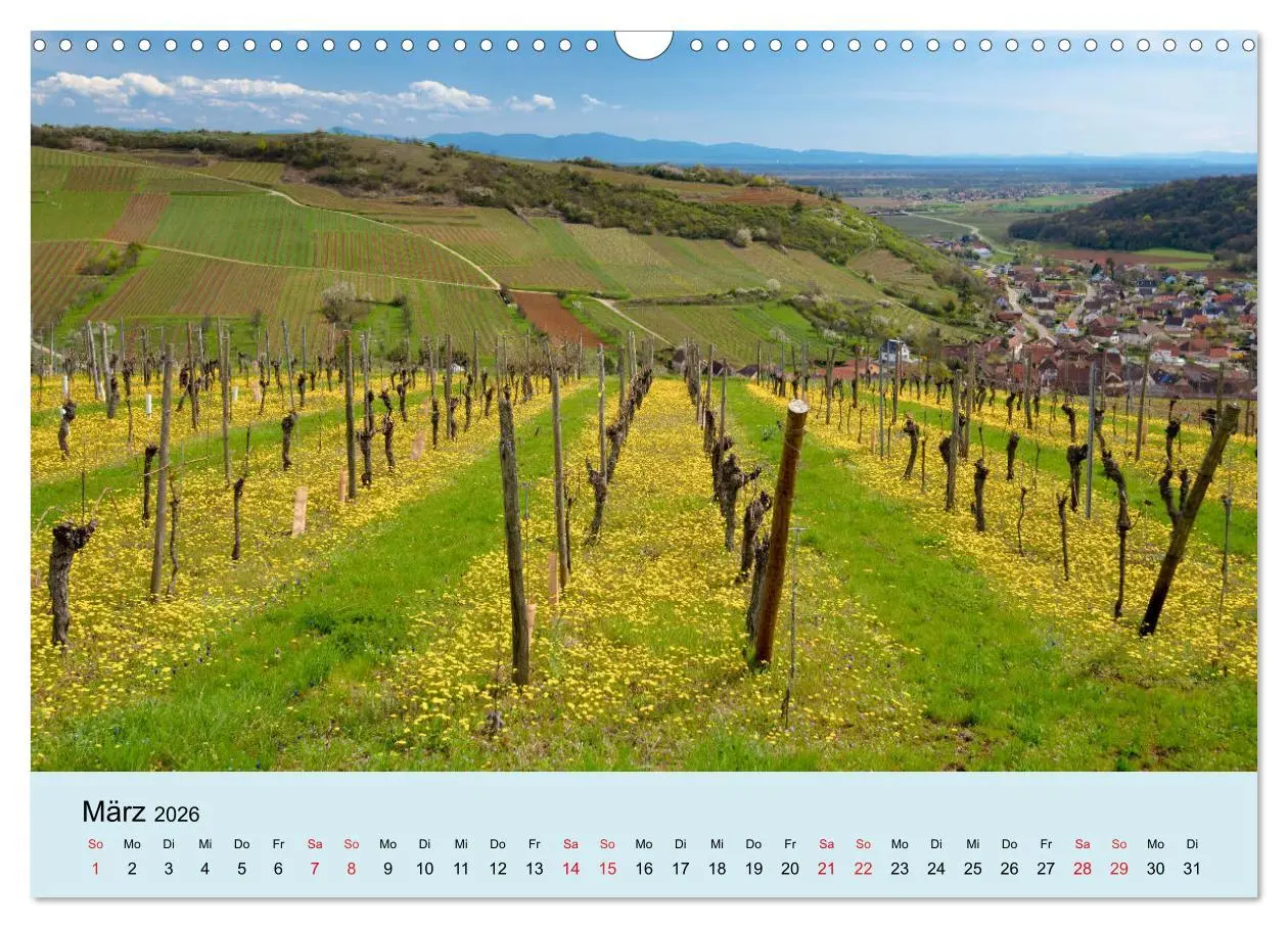 Bild: 9783457821152 | Elsass- und Vogesenträume (Wandkalender 2026 DIN A3 quer), CALVENDO...