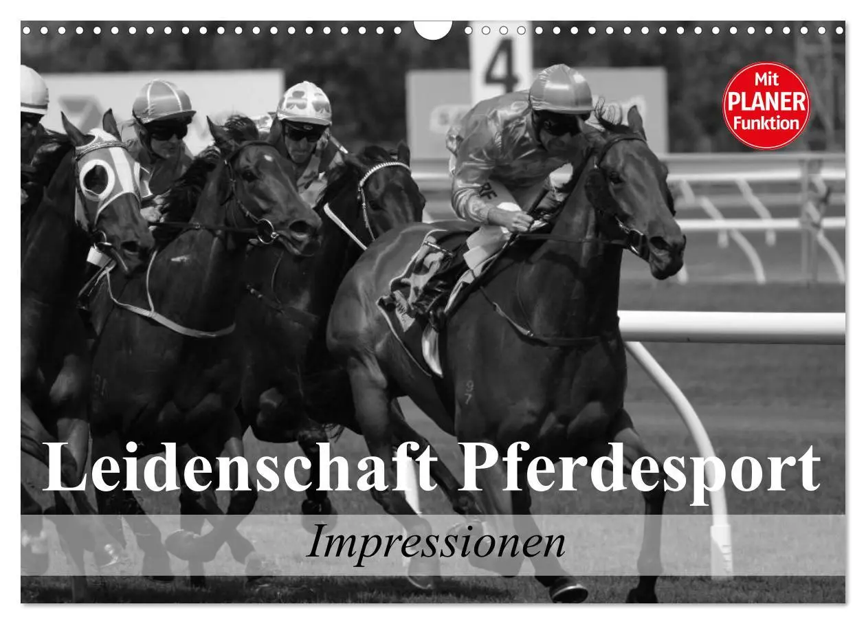 Cover: 9783457991152 | Leidenschaft Pferdesport - Impressionen (Wandkalender 2026 DIN A3...