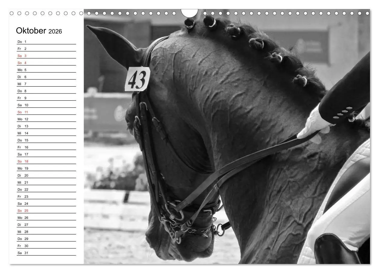 Bild: 9783457991152 | Leidenschaft Pferdesport - Impressionen (Wandkalender 2026 DIN A3...