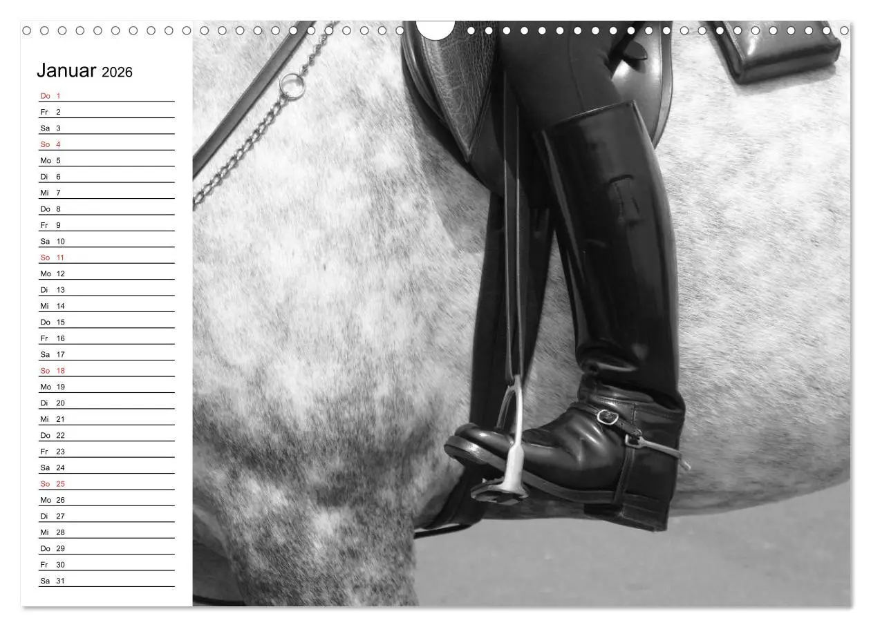 Bild: 9783457991152 | Leidenschaft Pferdesport - Impressionen (Wandkalender 2026 DIN A3...