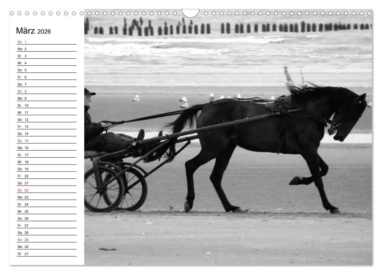 Bild: 9783457991152 | Leidenschaft Pferdesport - Impressionen (Wandkalender 2026 DIN A3...
