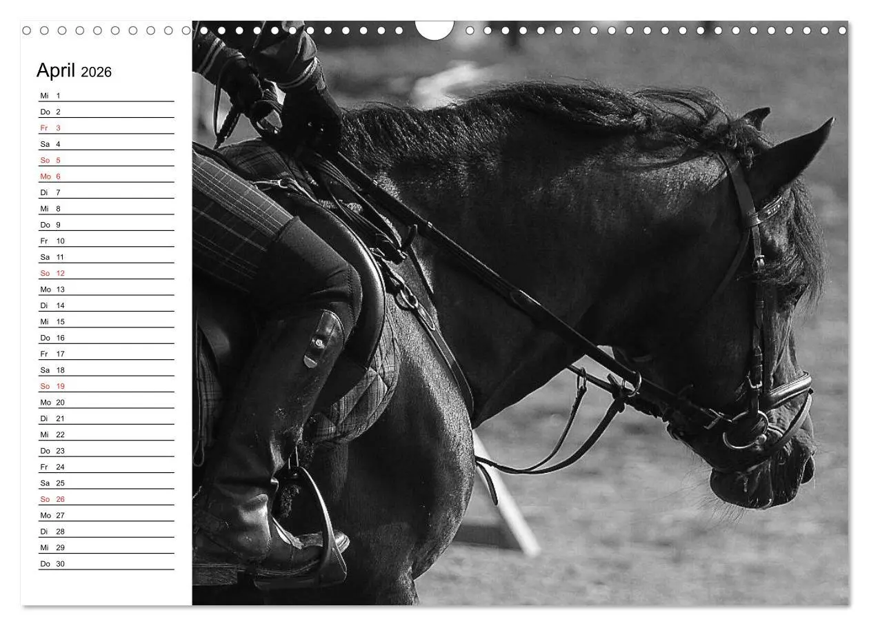 Bild: 9783457991152 | Leidenschaft Pferdesport - Impressionen (Wandkalender 2026 DIN A3...