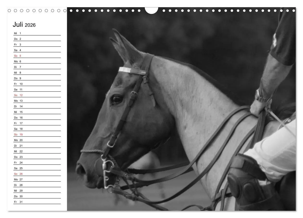 Bild: 9783457991152 | Leidenschaft Pferdesport - Impressionen (Wandkalender 2026 DIN A3...