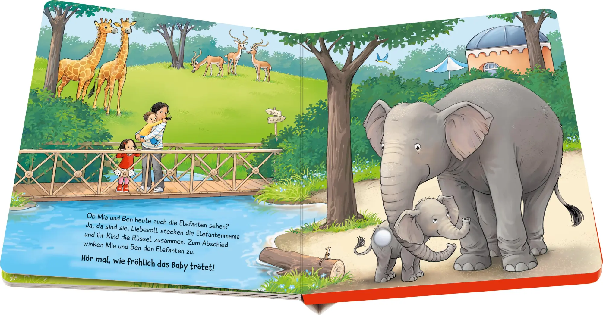 Bild: 9783473421152 | Hör mal hin - Wer brüllt hier? Im Zoo | Maria Höck | Buch | 12 S.