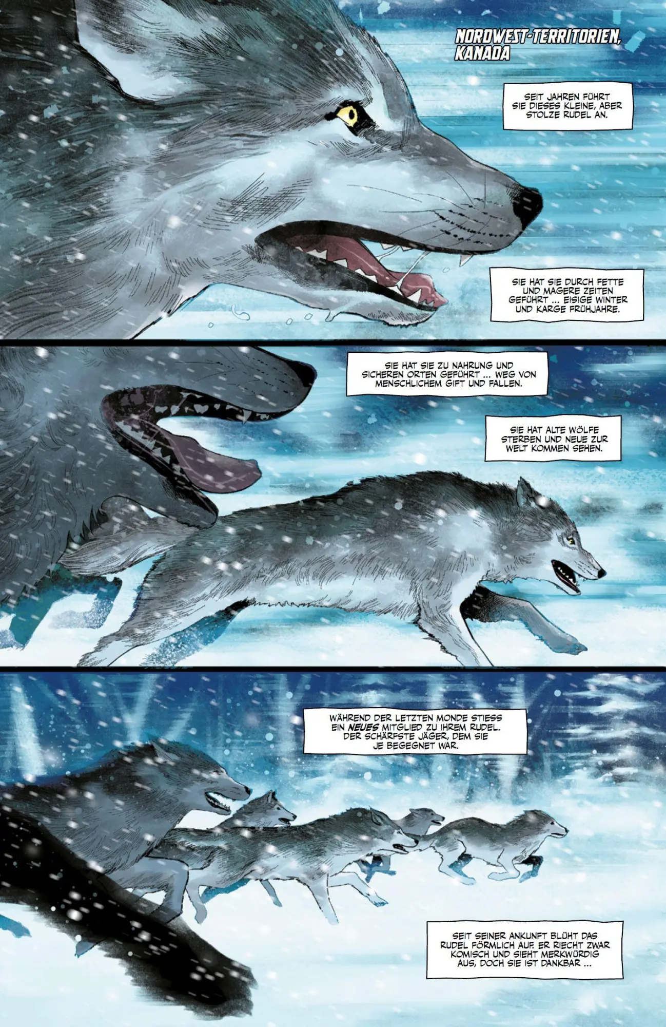 Bild: 9783741641152 | Wolverine - Neustart | Bd. 1: Ruf der Wildnis | Saladin Ahmed (u. a.)