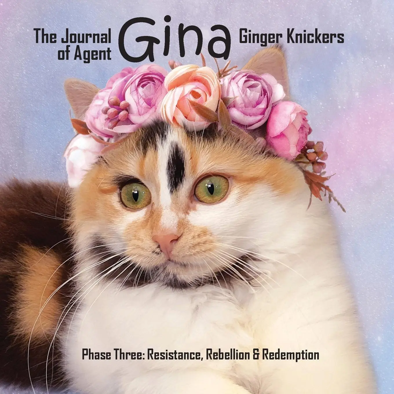 Cover: 9781738581252 | The Journal of Agent Gina Ginger Knickers Phase Three | Linda Deane