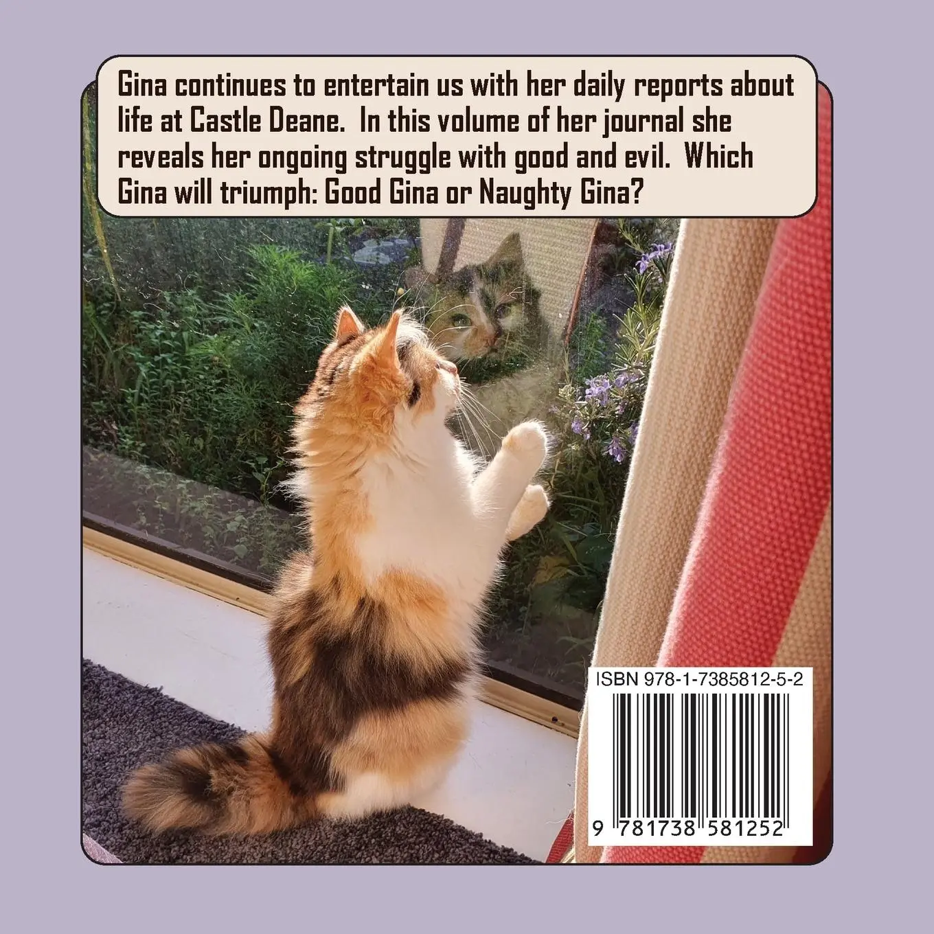 Rückseite: 9781738581252 | The Journal of Agent Gina Ginger Knickers Phase Three | Linda Deane