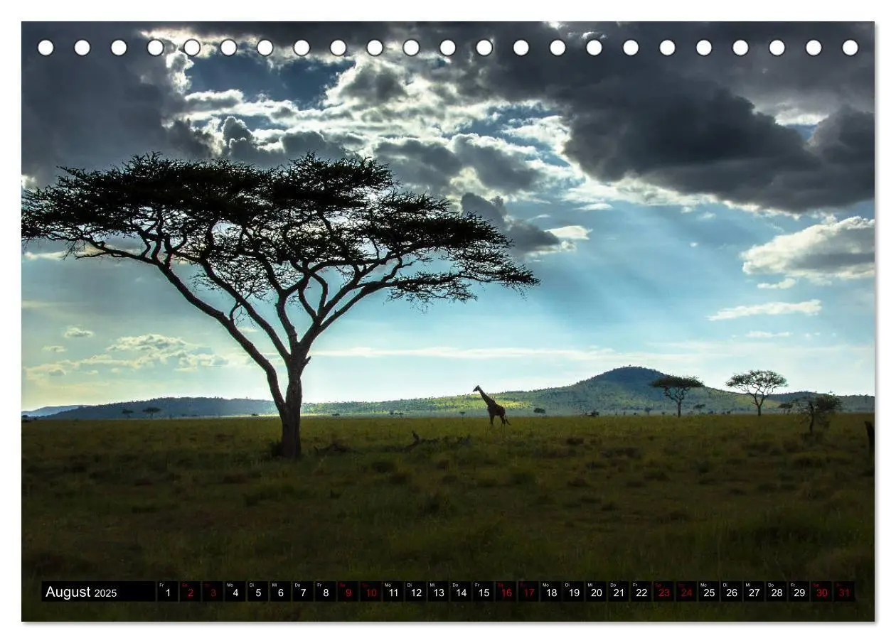 Bild: 9783435341252 | Tansania - Tierwanderung in der Serengeti (Tischkalender 2025 DIN...